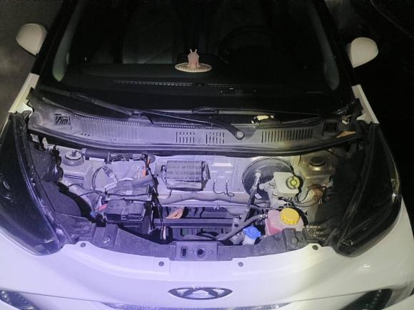 [杭州·浙A] 二手奇瑞新能源小蚂蚁2022款 甜粉款 半糖版 磷酸铁锂 30kW 301km