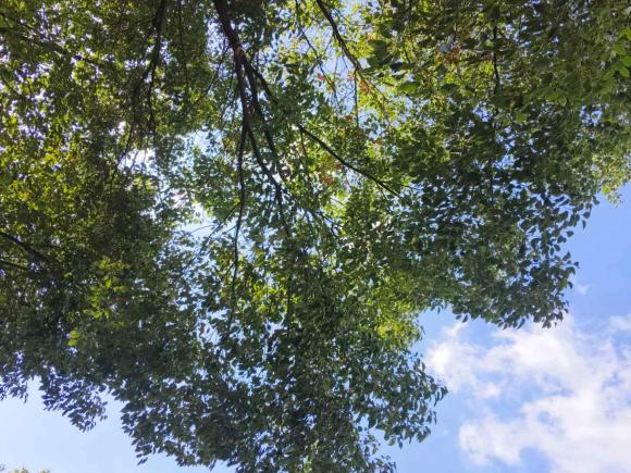 [上海·沪A] 二手大众途锐2011款 3.0TSI 舒适型