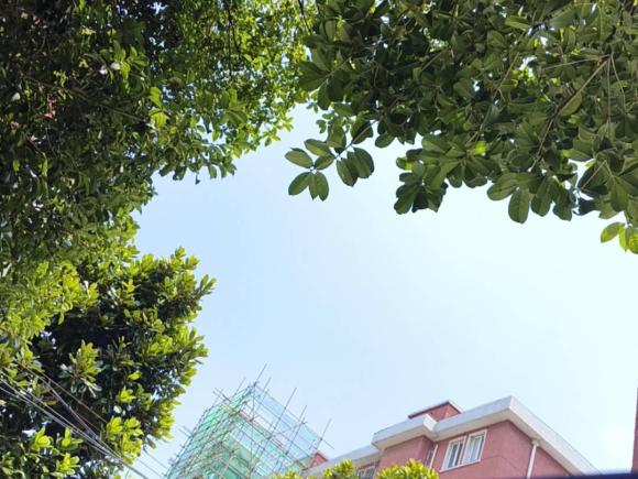 [上海·沪D] 二手别克威朗2023款 Pro 乐享版