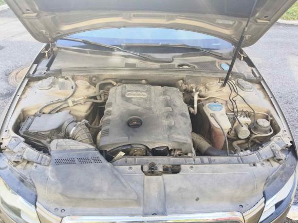 [湖州·浙E] 二手奥迪奥迪A4L2010款 2.0 TFSI 舒适型