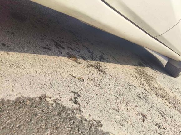 [西安·陕A] 二手福特嘉年华2013款 两厢 1.5L 自动时尚型