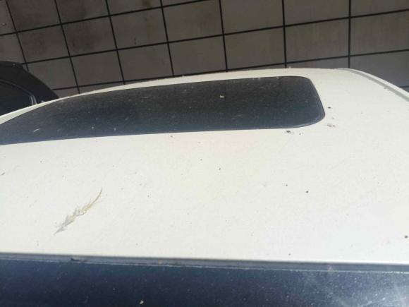 [南京·苏A] 二手福特蒙迪欧2013款 1.5L GTDi180时尚型