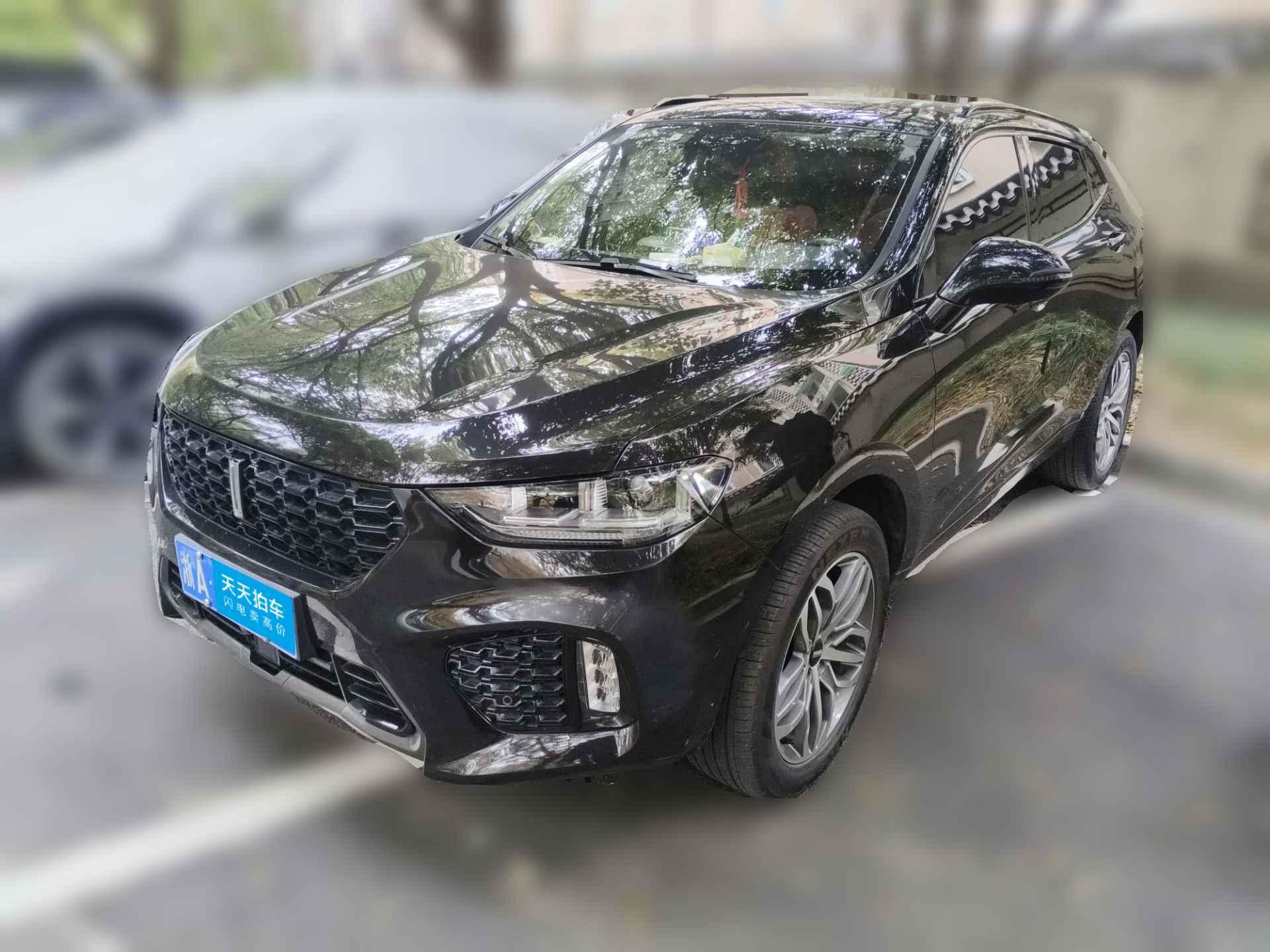 [杭州·浙A] 魏牌魏牌 VV52017款 2.0T 超豪型