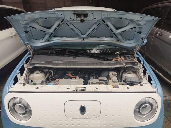 [合肥·皖A] 二手欧拉欧拉黑猫2019款 351km 亲子版