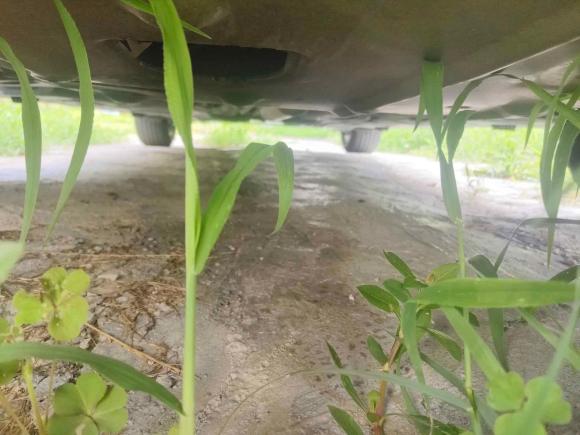 [南京·苏A] 二手宝马宝马X12018款 sDrive18Li 时尚型