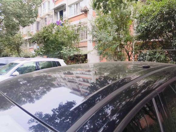 [无锡·苏B] 二手福特翼虎2015款 1.5L GTDi 两驱舒适型