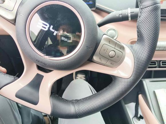 [合肥·皖A] 二手比亚迪海鸥2024款 荣耀版 305km 活力版