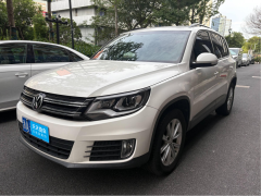 [杭州·浙A] 大众途观2016款 280TSI 自动两驱丝绸之路风尚版