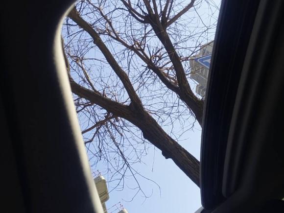 [西安·陕A] 二手雷克萨斯雷克萨斯RX2020款 改款 300 两驱精英版