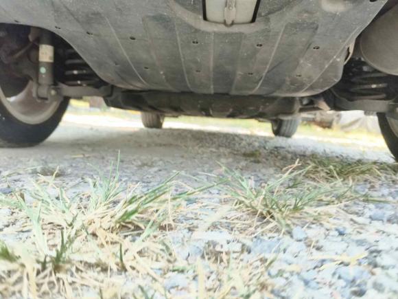 [上海·沪C] 二手本田缤智2020款 1.5L CVT精英版