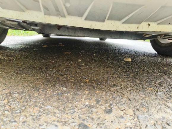 [济南·鲁N] 二手本田锋范经典2008款 1.5L 自动精英版