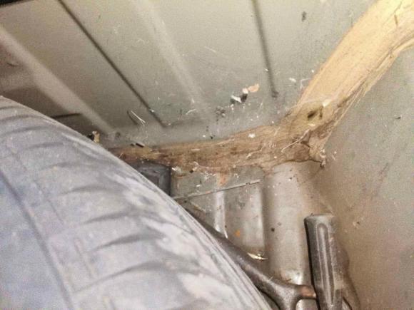 [杭州·浙A] 二手丰田锐志2008款 2.5S 特别纪念版