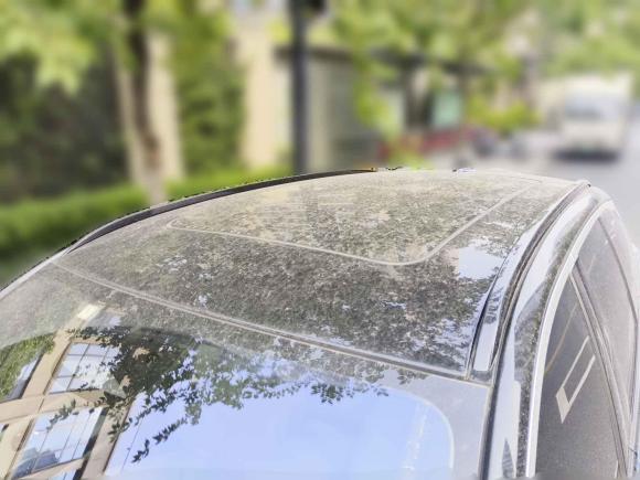 [杭州·浙A] 二手蔚来蔚来ES62020款 420KM 运动版