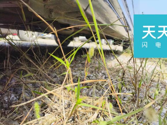 [合肥·皖A] 二手五菱汽车五菱征程2021款 1.5T 手动豪华型