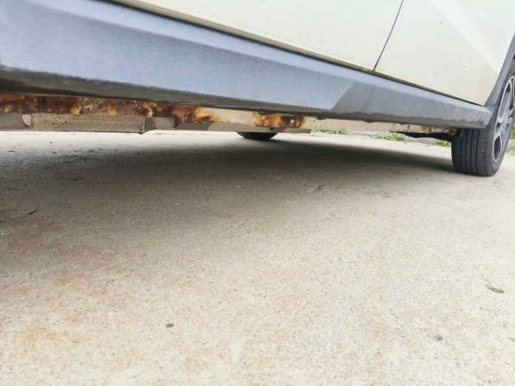 [济南·鲁A] 二手北汽新能源北汽新能源EC32019款 灵动版