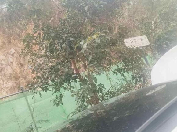 [深圳·粤B] 二手奔驰奔驰A级2020款 改款 A 200 L 运动轿车动感型