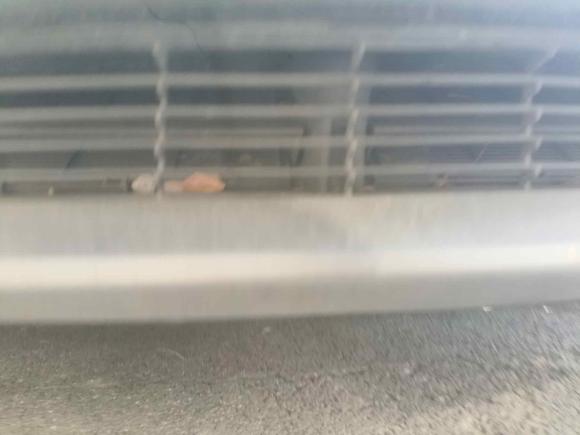 [上海·沪A] 二手特斯拉Model 32021款 改款 标准续航后驱升级版 3D1