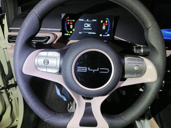 [广州·粤A] 二手比亚迪海鸥2023款 活力版