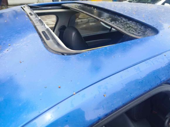 [无锡·苏B] 二手大众朗行2013款 1.6L 自动舒适型