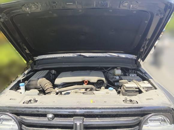 [青岛·鲁U] 二手坦克坦克3002021款 越野版 2.0T 挑战者