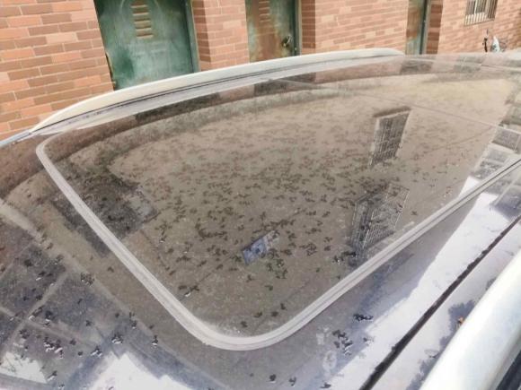 [宁波·浙B] 二手林肯林肯MKX2018款 2.0T 两驱尊享版