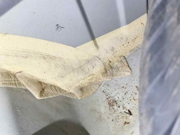 [宁波·浙B] 二手丰田卡罗拉2011款 1.6L 自动GL天窗版