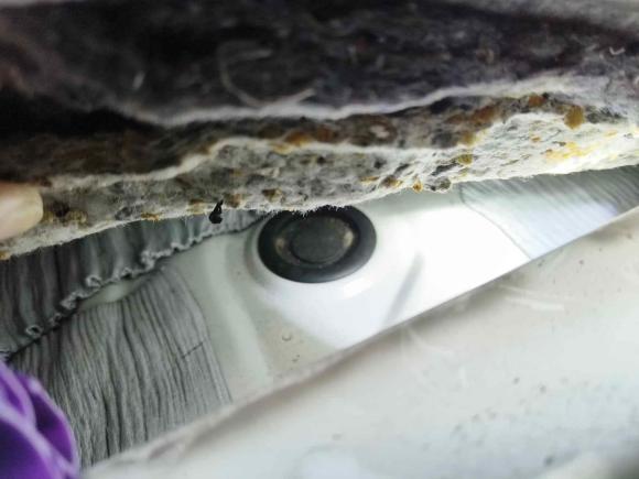 [成都·川A] 二手雷克萨斯雷克萨斯CT2013款 CT200h 精英版