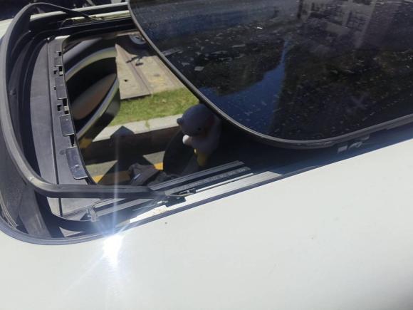 [深圳·粤B] 二手MINIMINI2007款 1.6L COOPER Fun