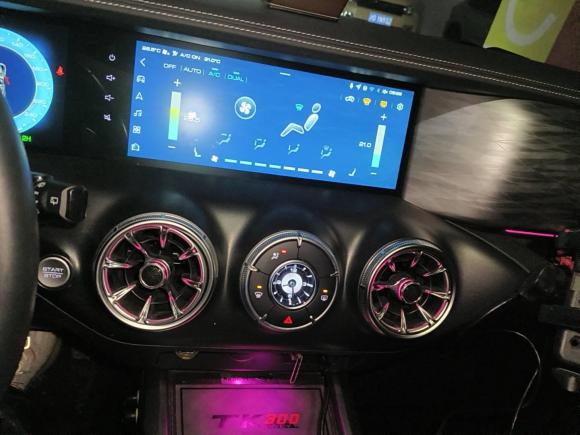 [上海·沪F] 二手坦克坦克3002021款 越野版 2.0T 挑战者