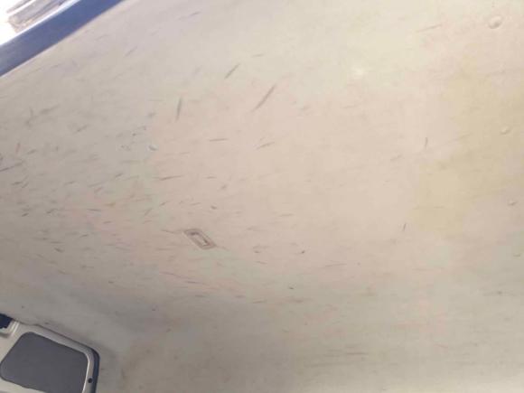 [杭州·苏U] 二手福田图雅诺2016款 2.8T 商运版短轴4J28TC3