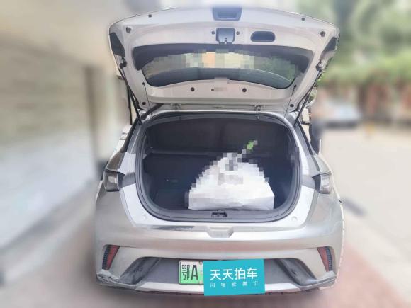 [武汉·鄂A] 二手比亚迪海豚2021款 405km 时尚版