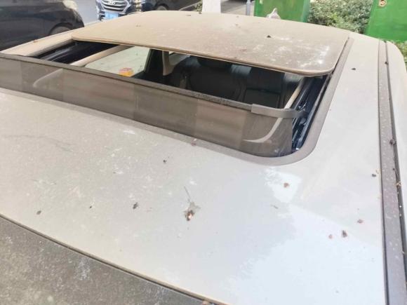 [苏州·苏U] 二手奇瑞艾瑞泽82023款 1.6T DCT逸