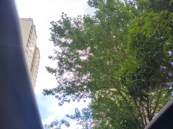 [上海·沪F] 二手斯巴鲁傲虎2016款 2.5i 运动导航版