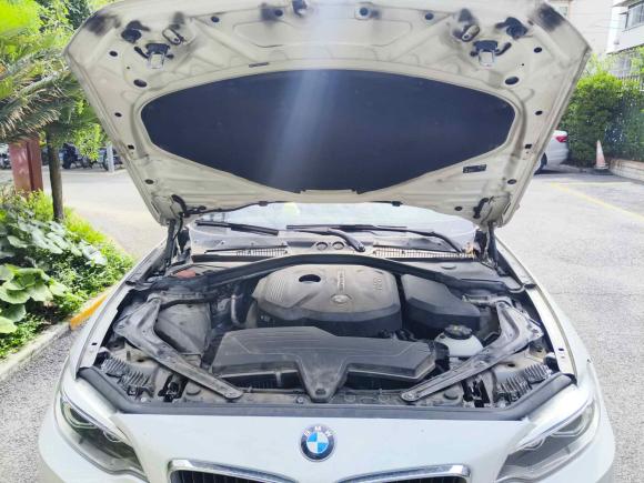 [上海·沪M] 二手宝马宝马2系2015款 218i 敞篷轿跑车