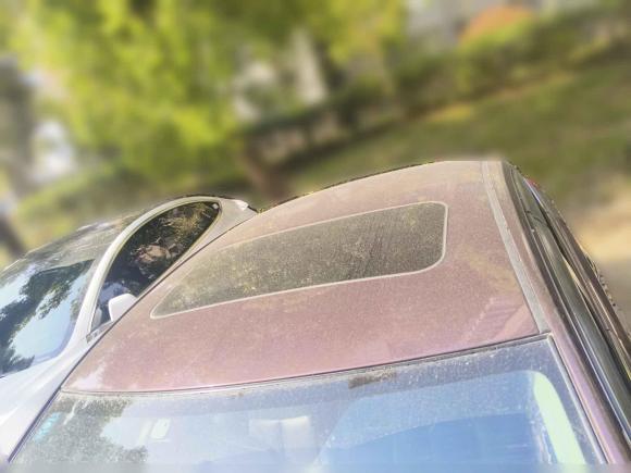 [上海·沪C] 二手日产轩逸2018款 1.6XV CVT尊享版