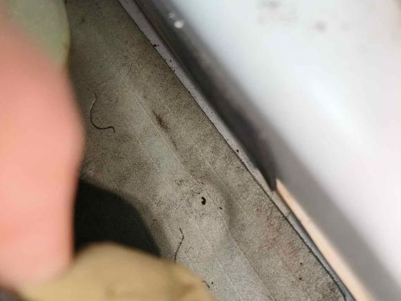 [深圳·粤S] 二手起亚起亚K52016款 2.0L 自动LUX