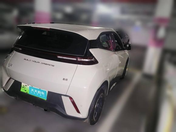 [上海·湘C] 二手比亚迪海鸥2023款 自由版