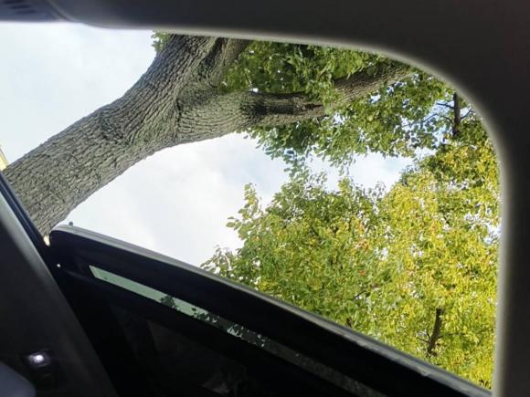 [上海·赣D] 二手大众速腾2023款 300TSI DSG卓越版