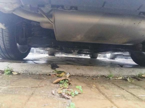 [武汉·鄂W] 二手沃尔沃沃尔沃S602016款 S60L T5 智驭版