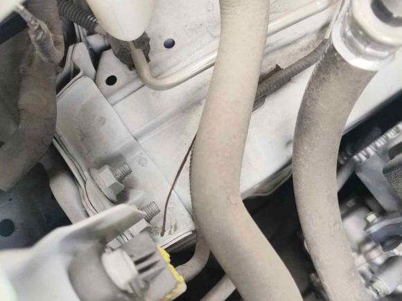 [南京·苏A] 二手丰田卡罗拉2021款 双擎 1.8L E-CVT精英版