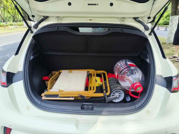 [上海·苏E] 二手比亚迪海豚2023款 420km 自由版