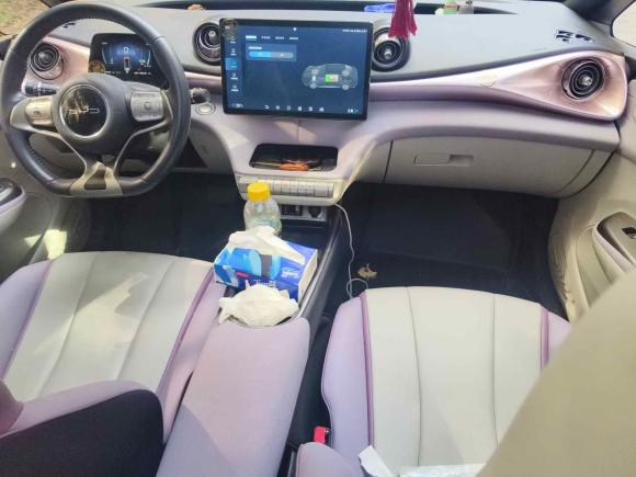 [上海·沪A] 二手比亚迪海豚2021款 405km 时尚版