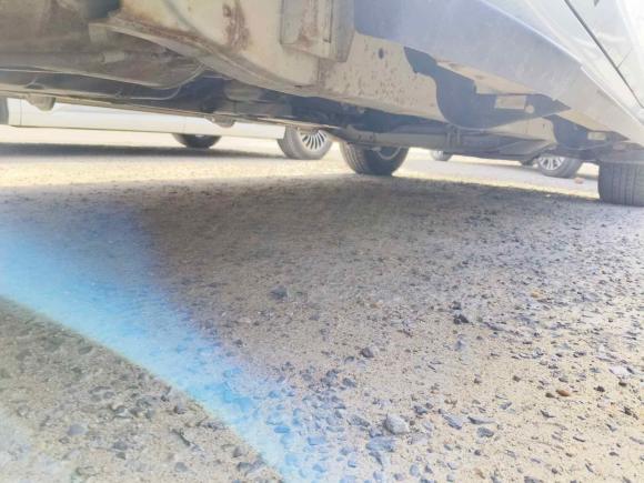 [青岛·鲁B] 二手大通大通T702019款 2.0T柴油自动两驱豪华型长箱高底盘