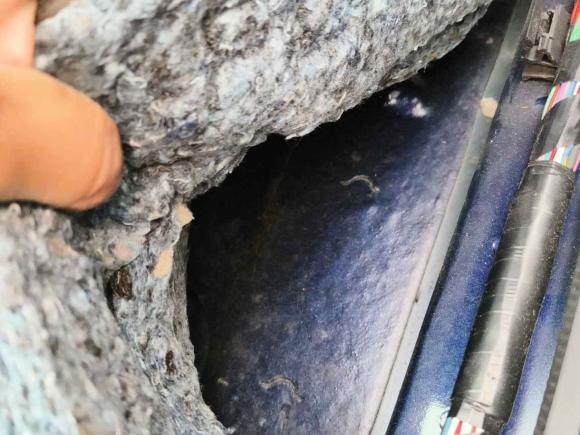 [宁波·浙B] 二手丰田皇冠2018款 2.0T 运动版