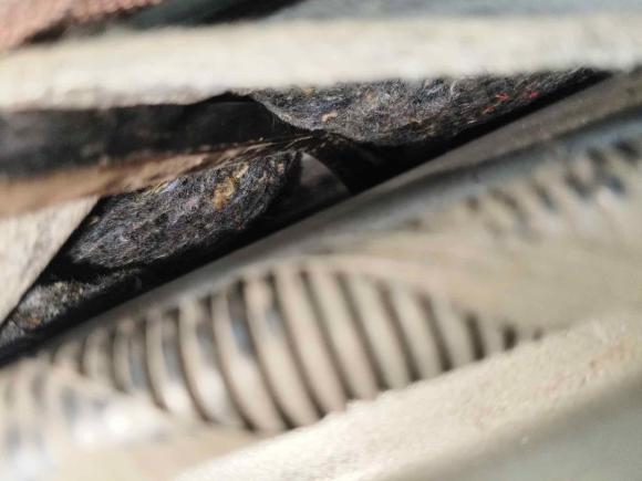 [成都·川A] 二手日产阳光2011款 1.5XE CVT舒适版