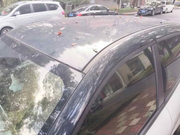 [义乌·浙G] 二手欧拉欧拉黑猫2019款 351km 亲子版