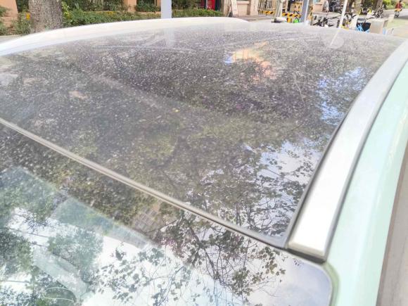 [佛山·粤E] 二手埃安AION Y2022款 70 智领版 磷酸铁锂