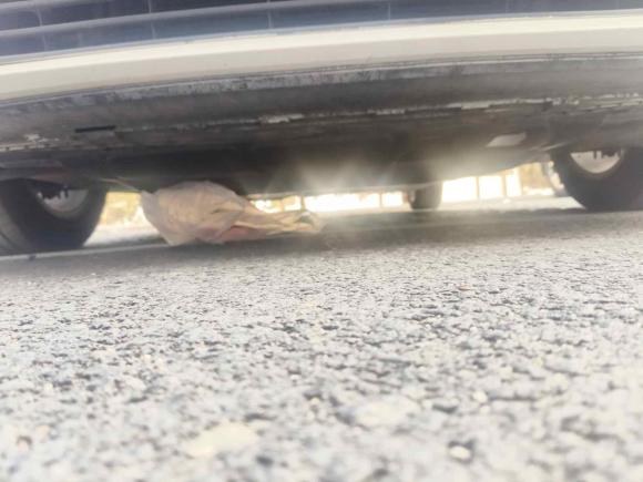 [合肥·皖A] 二手大众凌渡2018款 230TSI DSG风尚版