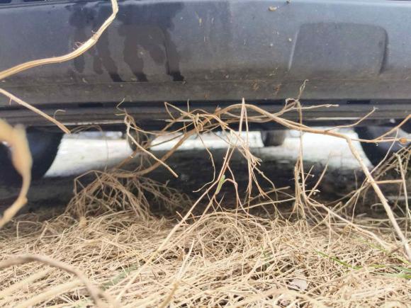 [广州·赣F] 二手别克昂科拉2015款 1.4T 手动两驱都市进取型