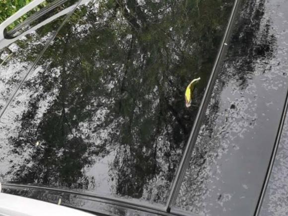 [芜湖·粤S] 二手起亚索兰托2013款 2.2T 7座柴油豪华版